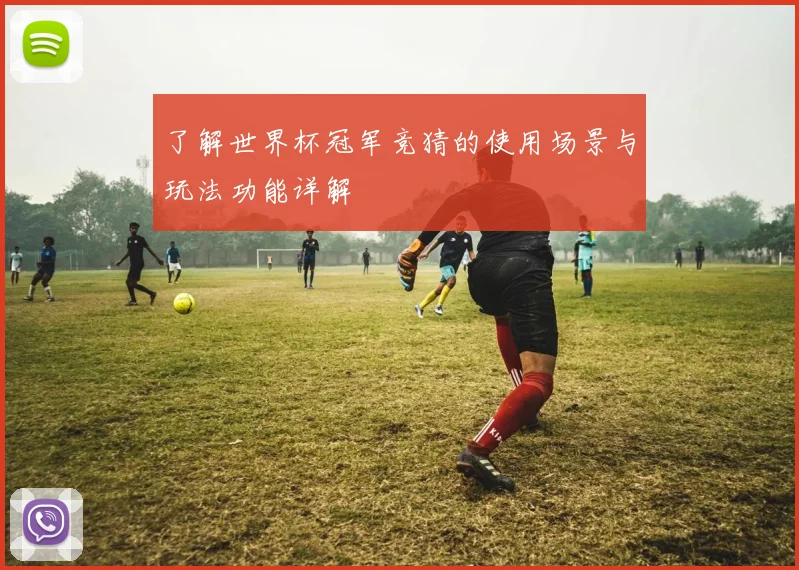 了解世界杯冠军竞猜的使用场景与玩法功能详解